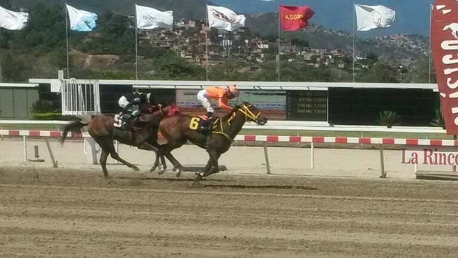 Roy´s Revenge se quedó con el Clásico José María Vargas