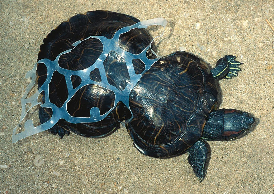 ¡Desgarrador! Los efectos de la contaminación alrededor del mundo (Fotos)