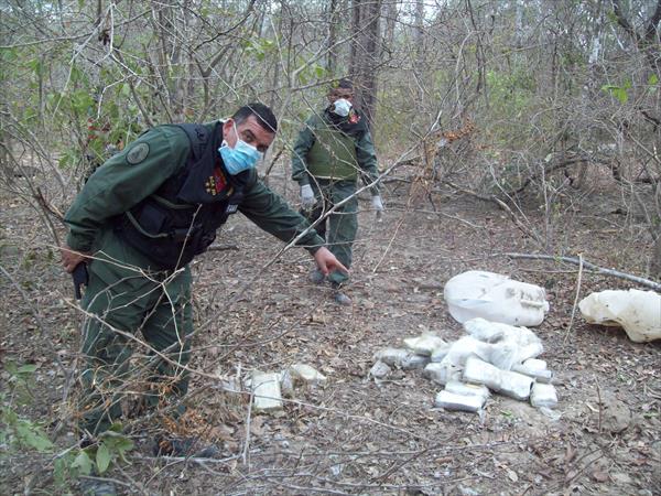 Hallaron mil kilos de coca tras siniestro de avioneta en Cojedes