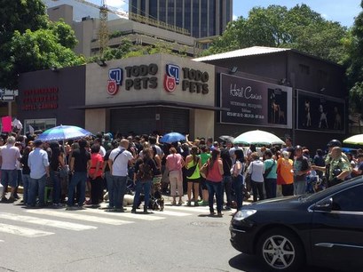 Caraqueños se movilizan en rechazo a la muerte de la perrita Cotufa (Fotos)