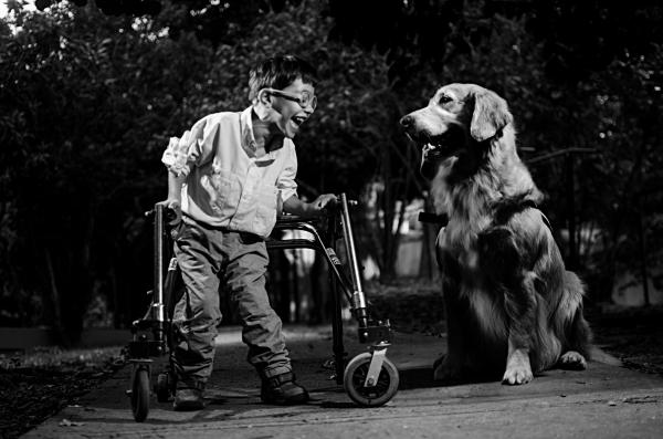 Abren convocatoria para concurso fotográfico sobre discapacidad de la Fundación Paso a Paso