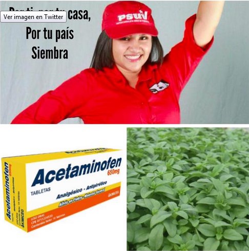 Los memes no perdonan: La siembra de acetaminofén