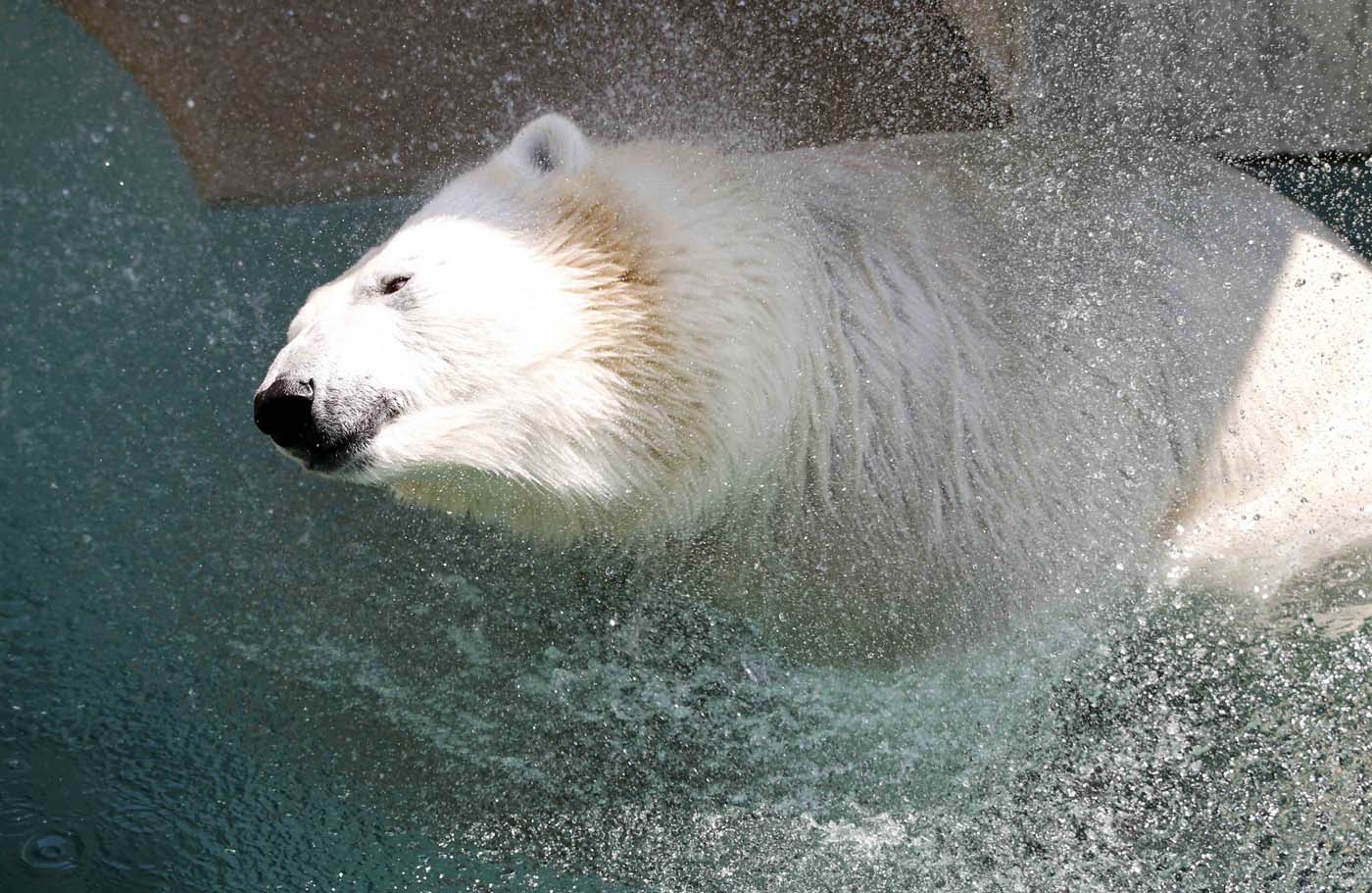 La inusual ola de calor que azota a Europa (Fotos)