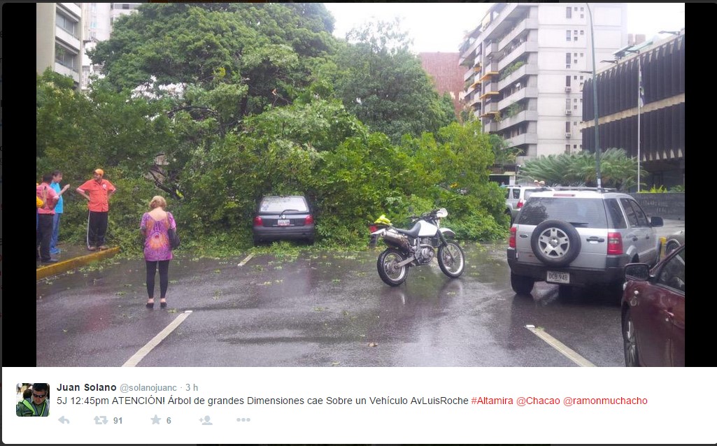 Mira con cuidado… No podrás creer lo que este hombre capturó en video ¡Ese no es un árbol normal!