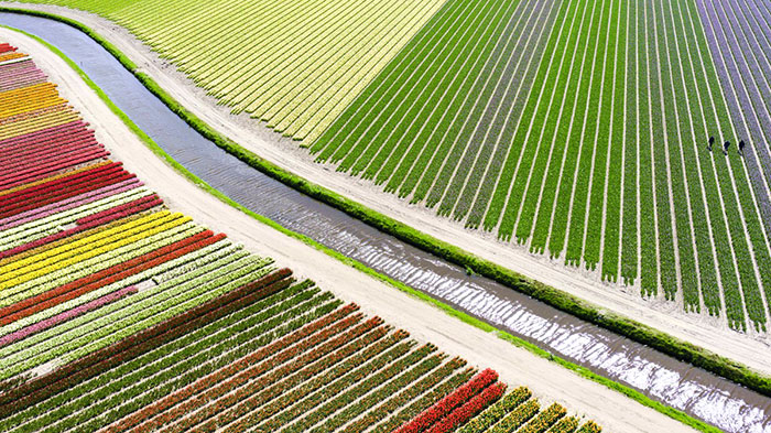 Ellos fueron los ganadores del concurso de fotografía con drone 2015