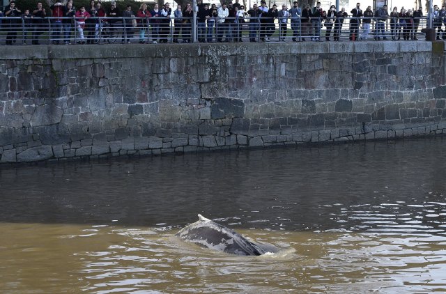 Foto: AFP