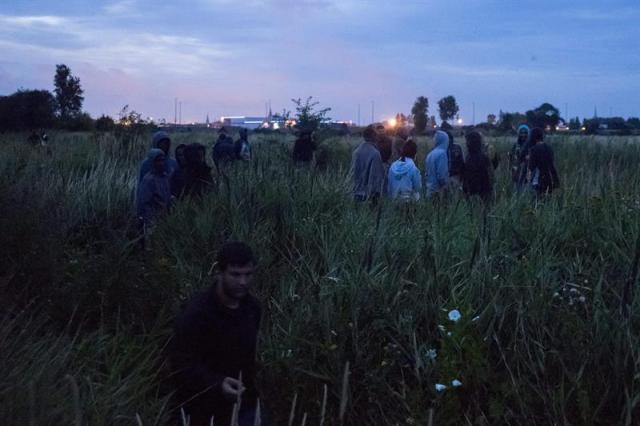 Fotografía facilitada hoy, 12 de agosto de 2015, de varios inmigrantes que se dirigen hacia el túnel bajo el canal de la Mancha que une Francia con el Reino Unido Calais (Francia), ayer. La Policía francesa ha desmantelado una red albanesa de tráfico de inmigrantes en Calais, con la detención de cuatro personas de esa nacionalidad y de otras dos francesas que ayudaban a cruzar ilegalmente al Reino Unido. EFE/Zoltan Balogh