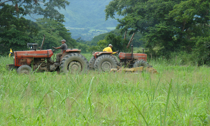 Calculan inflación de 500% en el sector agropecuario