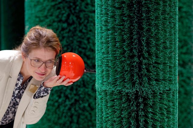 Foto: Una empleada del museo se acerca a un altavoz montada dentro de la muestra Dornenhecke (Seto de espinas), durante la presentación a la prensa de Grimmwelt, un nuevo museo dedicado a los hermanos Grimm, en Kassel (Alemania) hoy, 18 de agosto de 2015. El museo abrirá sus puertas el próximo 4 de septiembre. EFE