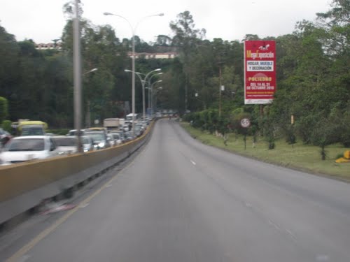 panamericana