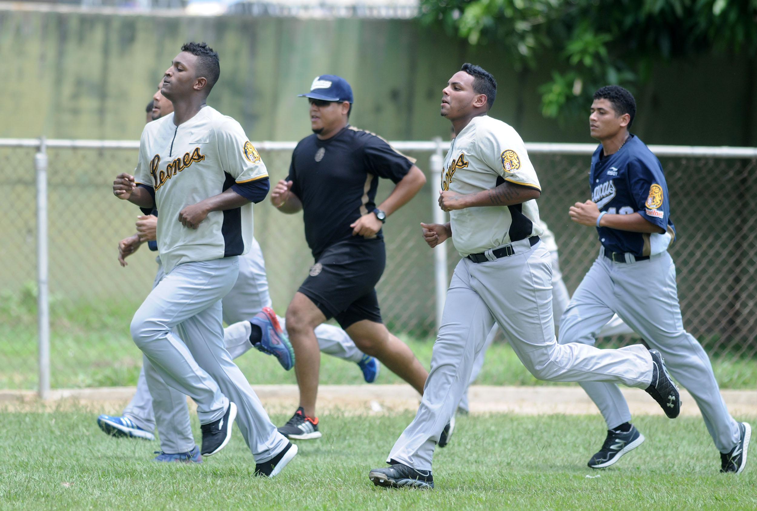 Así entrenan los Leones del Caracas (Fotos)