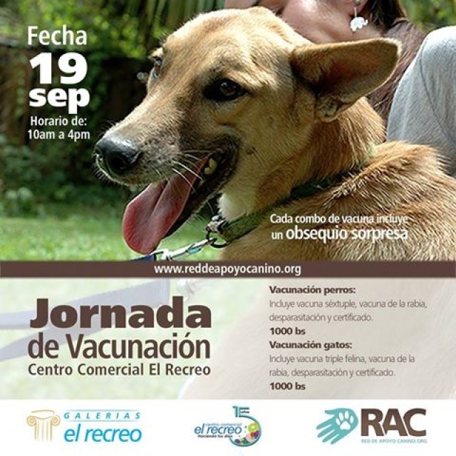 Jornada de vacunación y adopción - sep art