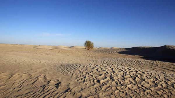 Estudio estima que en 2100 la mitad del planeta puede ser una zona árida