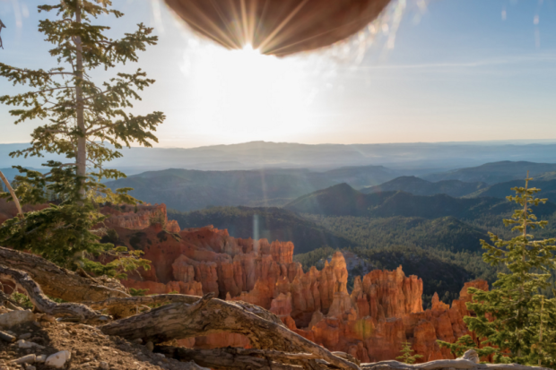 ¡Asco! Nutscaping… la moda de fotografiar bellos paisajes con los testículos colgando