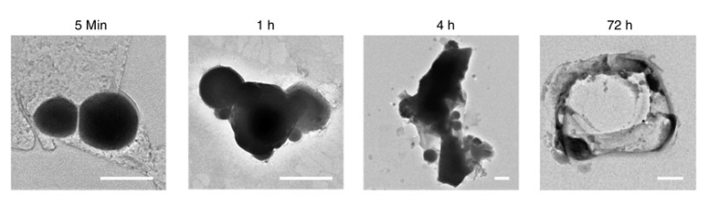 Diseñan nanorrobots de metal líquido capaces de destruir células cancerosas