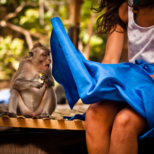 ¡Imágenes para reír! Diez fotos tomadas en el momento perfecto