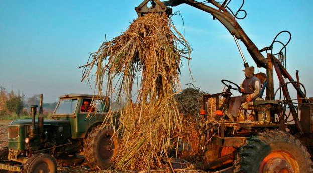 Decenas de cañicultores exigen pago del subsidio