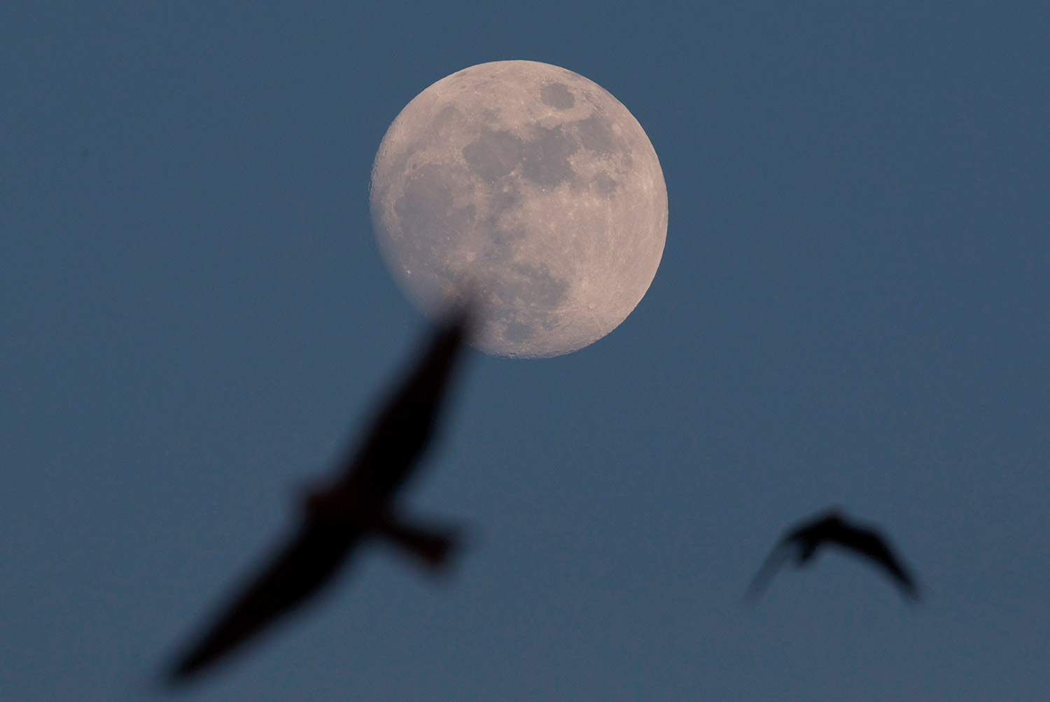 China enviará sonda al lado oscuro de la luna en 2018