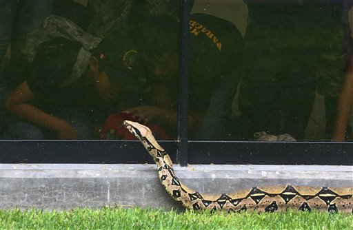 (AP Foto/Marín Mejia)