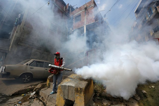 2016-01-28T181244Z_662108225_GF10000288183_RTRMADP_3_HEALTH-ZIKA-VENEZUELA