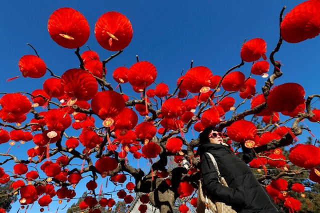 Una mujer pasea bajo un árbol decorado con farolillos rojos, colocados para celebrar el Año Nuevo Lunar en el parque Ditan de Pekín (China) hoy, 1 de febrero 2016. El Año Nuevo Lunar chino, o Festival de Primavera, se celebra este año el 8 de febrero y será el inicio del Año del Mono.EFE/Wu Hong