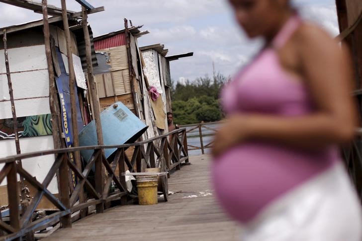 OMS expresa preocupación por informe sobre transmisión sexual de virus de Zika