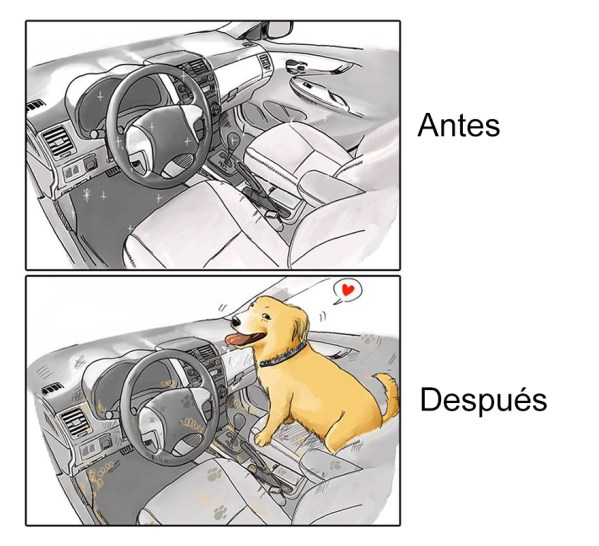 Tener Un Perro 7