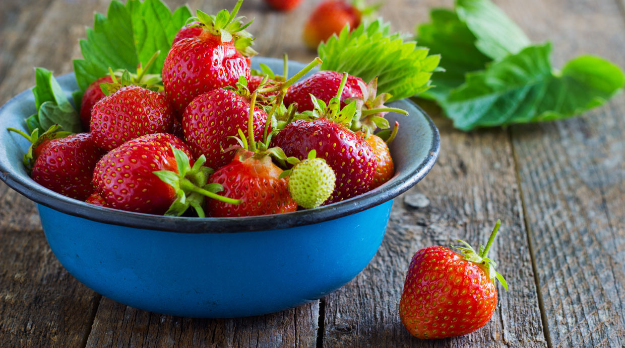 Conoce los cinco alimentos que te ayudarán a combatir el estrés