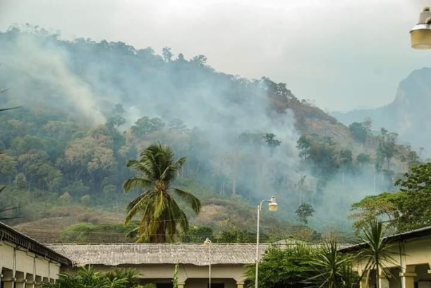 sierra de perija incendio