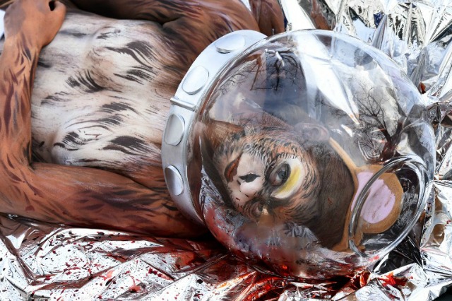 Un activista de entre el grupo Personas por el Trato Ético de los Animales (PETA) disfrazado como un mono muerto con el casco de un astronauta se encuentra en frente de la embajada de Rusia a Alemania, durante una protesta contra los experimentos relacionados con el espacio en monos, el 8 de marzo, 2016 Berlina. TOBIAS SCHWARZ  AFP