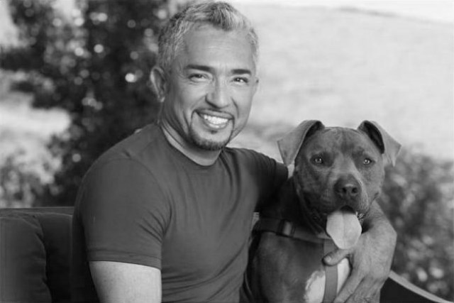 Cesar millan