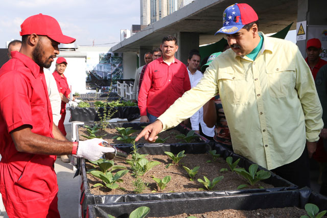 Sociedad de Ingenieros Agronómos aseguró que Plan de Agricultura Urbana no solventará la escasez