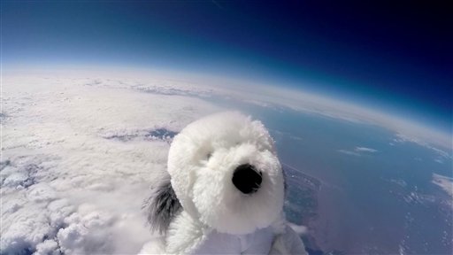 Sam el perro de peluche vuela hacia la estratosfera tras despegar de Morecombbe, Inglaterra, el 5 de abril de 2016. El juguete fue alzado por un globo de helio, parte de un proyecto científico de una escuela primaria local y un hotel. Legó a 18.000 metros sobre la superficie de la Tierra.  (Morecambe Bay Community Primary School and English Lakes Hotels Resorts & Venues via  AP) TV OUT