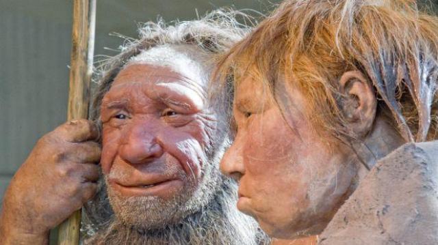 neandertales