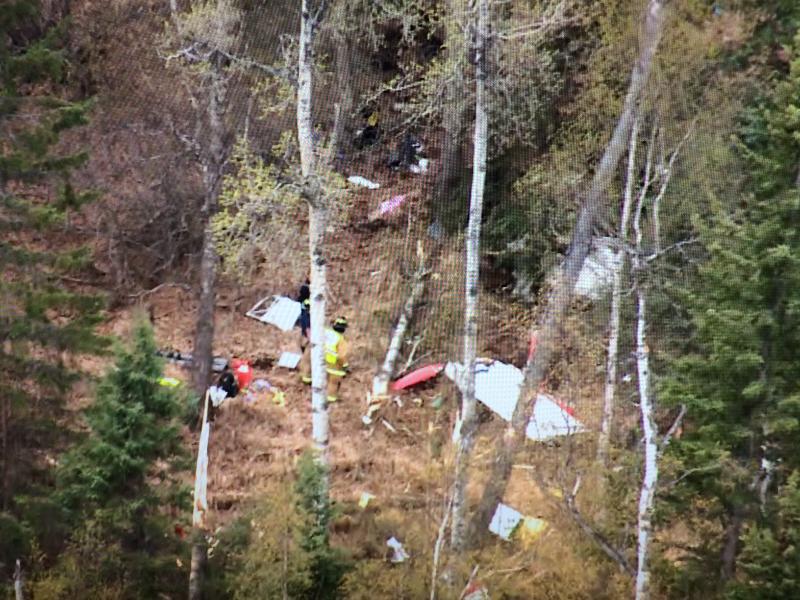 Una avioneta se estrella tras chocar con un águila y deja cuatro muertos en EEUU