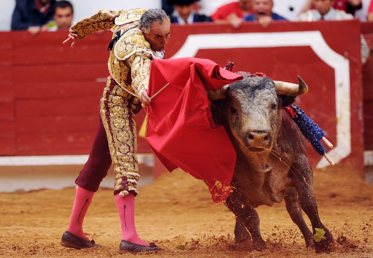 Cuando la crueldad se devuelve: Torero mexicano quedó tetrapléjico tras una cornada