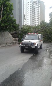 Árbol caído obstruye tránsito en avenida San Felipe de Chacao