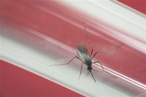 El turismo de Puerto Rico sufre la picadura del zika