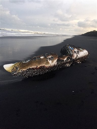 Un kayak viajó solo de Australia a Nueva Zelanda