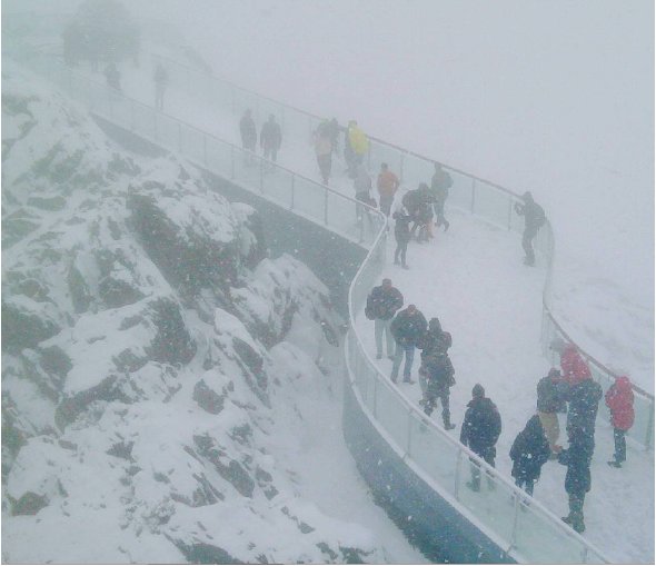 Los páramos de Mérida se cubren de nieve (Fotos)