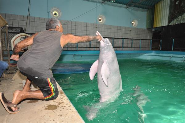 Murió Dalila, la única tonina que quedaba en el Acuario de Valencia