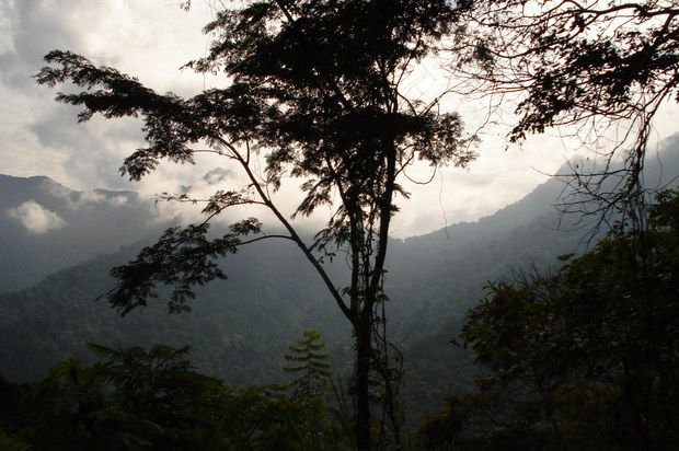 Parque Henri Pittier se convertirá en un centro emblemático de turismo en Aragua