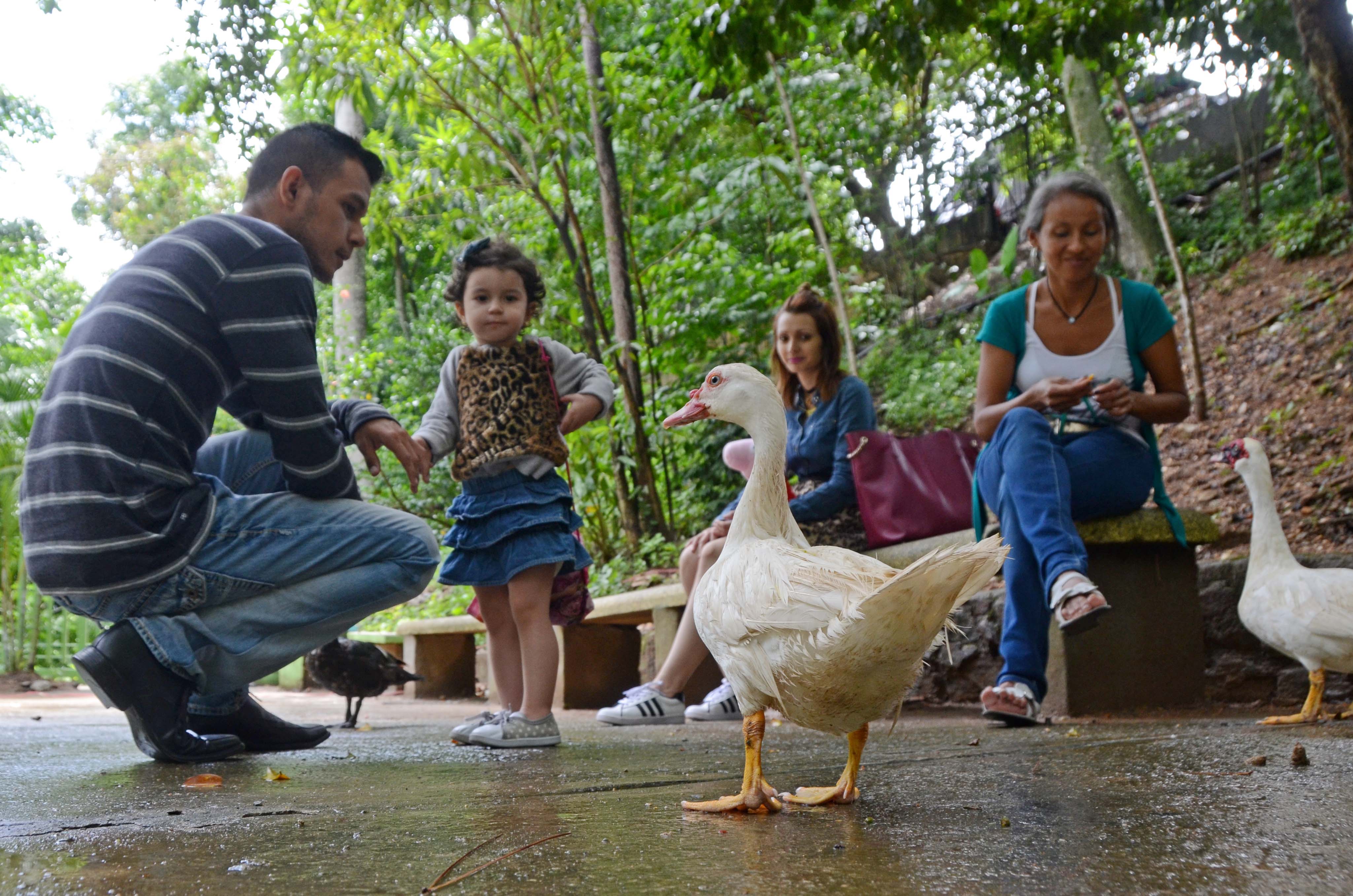 Más de 1200 niños disfrutaron su día en el ZooAquarium de Valencia