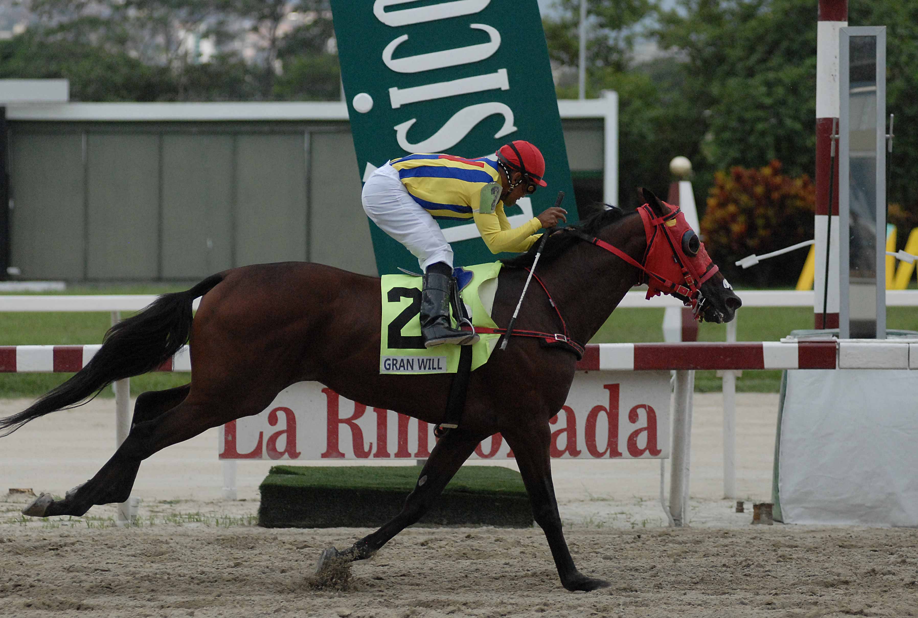 Gran Will ganó en las manos el Clásico República Bolivariana de Venezuela