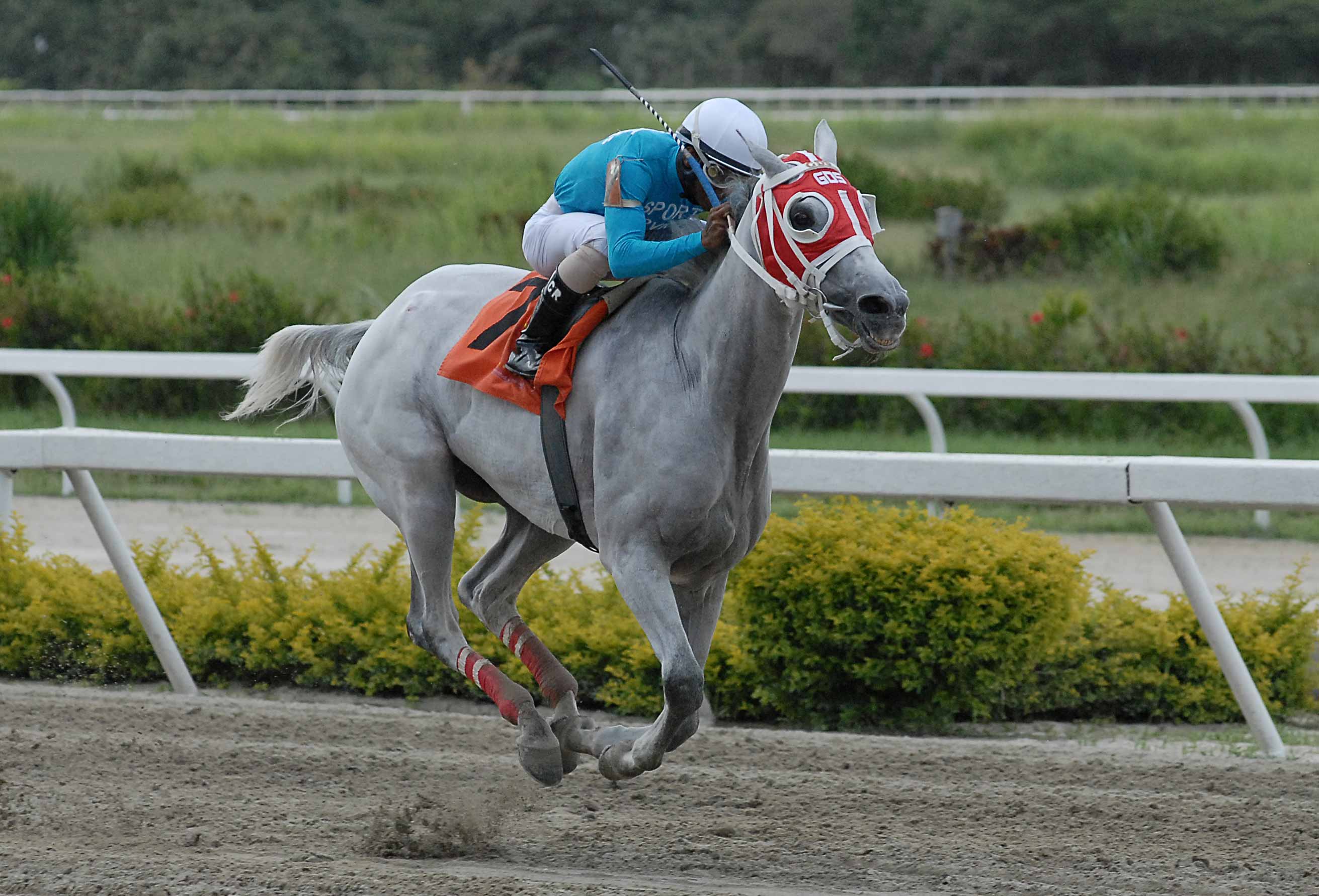 Princesa Sofía galopó el Clásico Armada Nacional Bolivariana