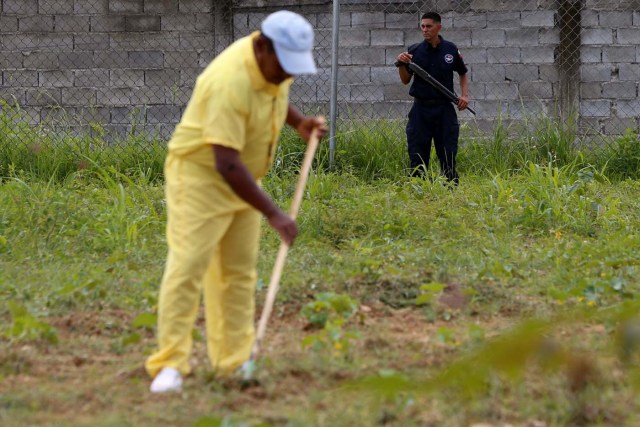 2016-08-04T143650Z_686144446_S1BETTNBRMAA_RTRMADP_3_VENEZUELA-AGRICULTURE