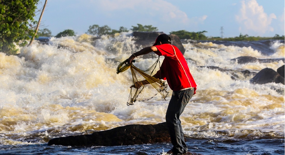 Guayaneses mitigan el hambre con la pesca en La Llovizna