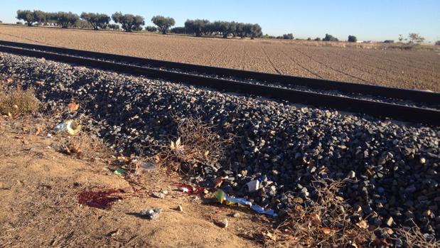 Una mujer muere al ser golpeada por un tren cuando fotografiaba la superluna