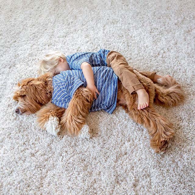 ¡Puro amor! La relación entre una niña y su mejor amigo, un labradoodle