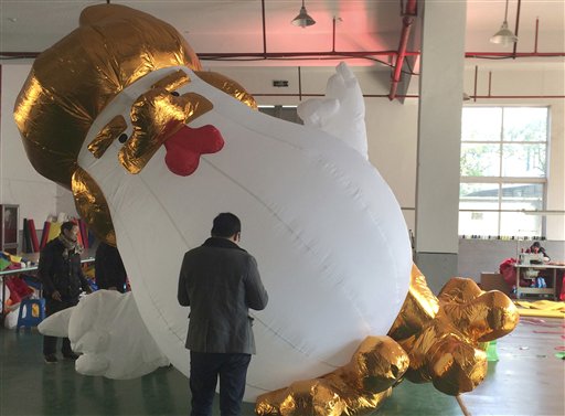 Un enorme gallo inflable cuyo diseño se parece, dicen algunos en China, al presidente electo Donald Trump es mostrado en la fábrica Yifang Inflatables, con sede en la ciudad china de Jiaxing, el viernes 13 de enero de 2017. La fábrica china está haciendo un gran negocio con la venta de estos enormes gallos. (AP Foto/Paul Traynor)